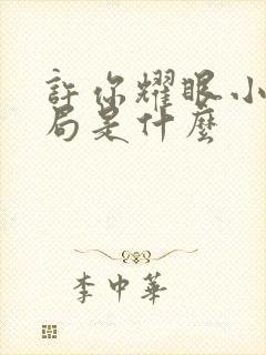 许你耀眼小说结局是什么