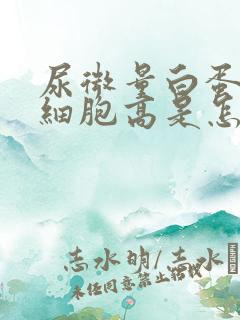 尿微量白蛋白红细胞高是怎么回事