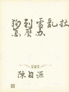 狗到处乱拉乱尿怎么办