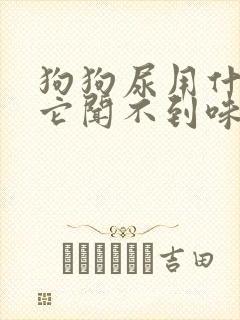 狗狗尿用什么洗它闻不到味道