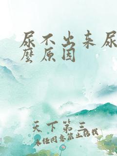 尿不出来尿疼什么原因