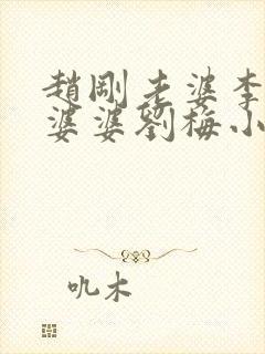 赵刚老婆李晓雅婆婆刘梅小说