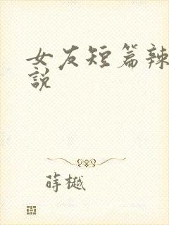 女友短篇辣文小说