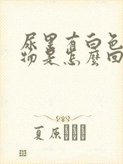 尿里有白色混浊物是怎么回事