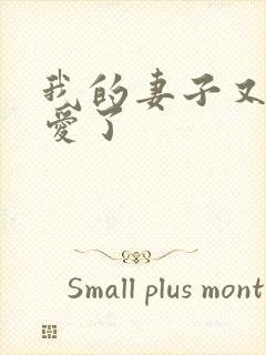 我的妻子又谈恋爱了