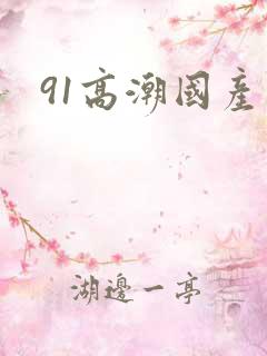 91高潮国产