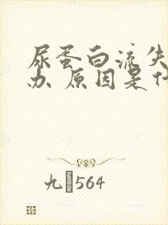 尿蛋白流失怎么办 原因是什么