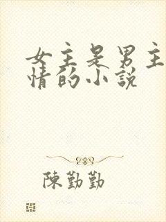 女主是男主的天情的小说