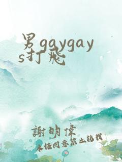 男gaygays打飞