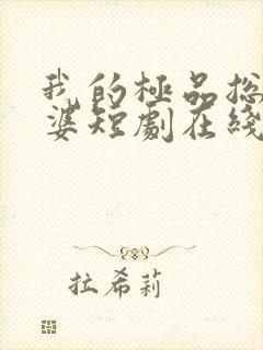 我的极品总裁老婆短剧在线观看免费高清