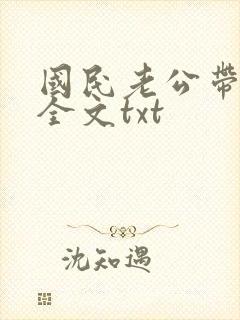 国民老公带回家全文txt