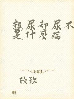 想尿却尿不出来是什么病