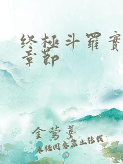 终极斗罗实体书章节