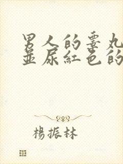 男人的睾丸疼痛并尿红色的尿