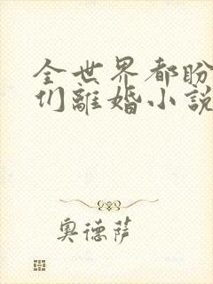 全世界都盼着我们离婚小说看