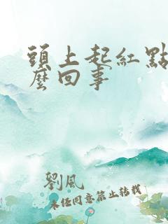 头上起红点痒怎么回事