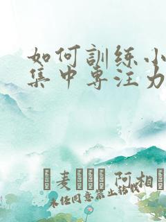 如何训练小孩的集中专注力