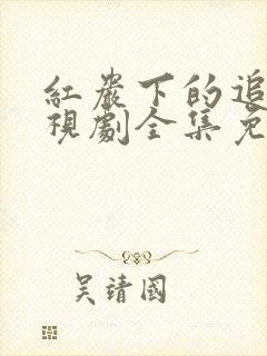 红岩下的追捕电视剧全集免费观看