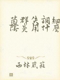 菌群失调细菌性阴炎用什么药好