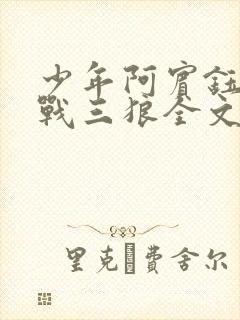 少年阿宾钰慧大战三狼全文阅读