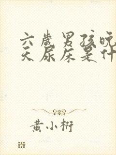 六岁男孩晚上天天尿床是什么原因