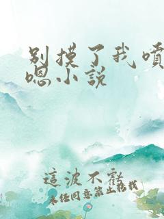 别摸了我喷了啊嗯小说