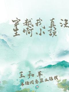 穿越我真没想重生啊小说