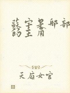 苏宇是哪部小说的主角