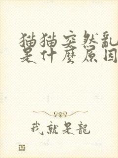 猫猫突然乱拉尿是什么原因