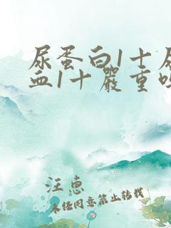 尿蛋白1十尿潜血1十严重吗