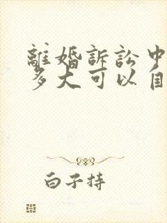 离婚诉讼中孩子多大可以自己选择抚养权归属