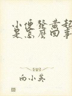 小便发黄起泡沫是怎么回事