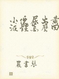 小便尿出黄粘稠液体怎么回事