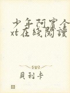 少年阿宾全文txt在线阅读