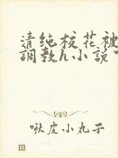 清纯校花被地狱调教h小说下载