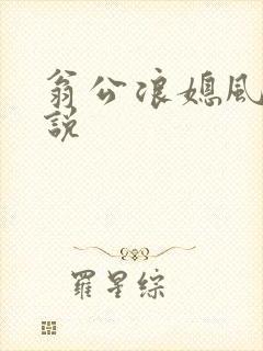 翁公浪媳风流小说