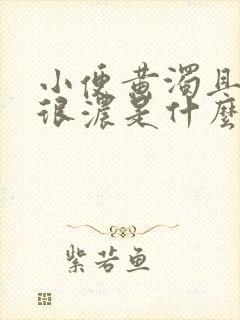 小便黄浊且气味很浓是什么原因