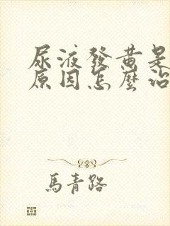 尿液发黄是什么原因怎么治疗