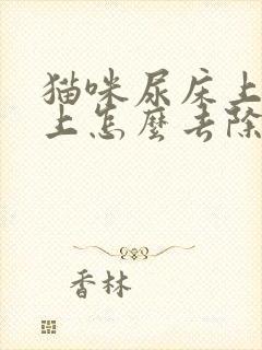 猫咪尿床上被子上怎么去除尿味