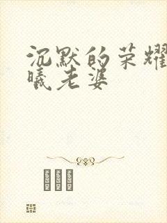 沉默的荣耀中聂曦老婆