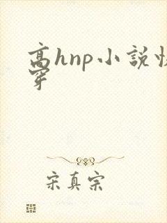 高hnp小说快穿
