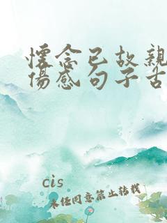 怀念已故亲人的伤感句子古诗大全