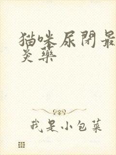 猫咪尿闭最佳消炎药