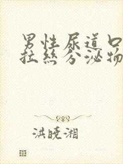 男性尿道口透明拉丝分泌物