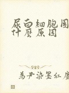 尿白细胞团高是什么原因