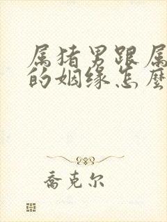 属猪男跟属马女的姻缘怎么样