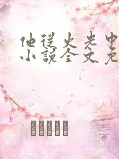 他从火光中走来小说全文免费阅读