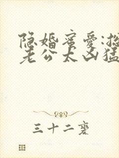 隐婚蜜爱:总裁老公太凶猛