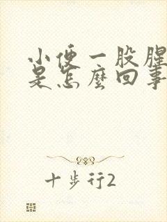 小便一股腥臭味是怎么回事