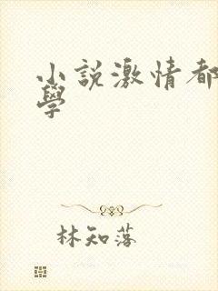 小说激情都市文学